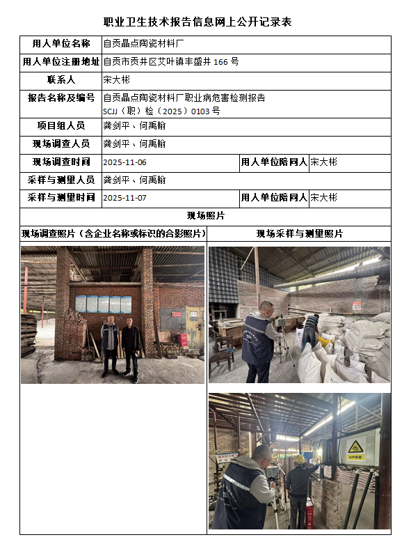 自贡晶点陶瓷材料厂职业病危害检测报告
