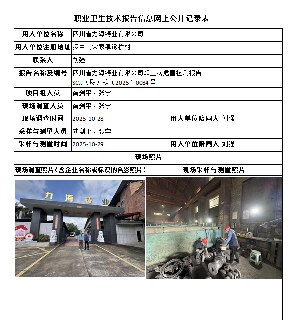 四川省力海铸业有限公司职业病危害检测报告